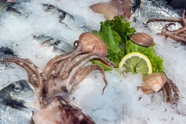 Морепродукты на льду на рыбном рынке — стоковое фото