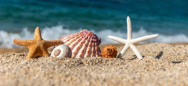 Капелюхи на піску біля моря в сонячний день — стокове фото