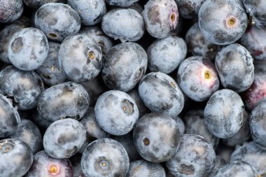 Taze organik yaban mersini dokusunu kapatın