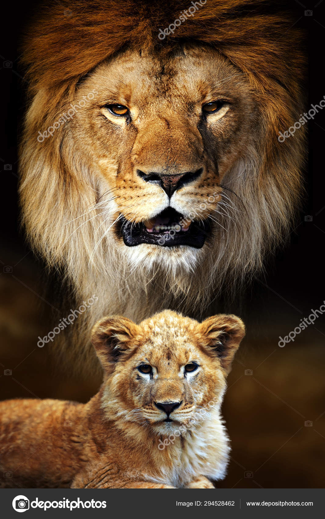 Male Lion And Cub Portrait On Savanna Landscape Background Stock Photo By Volodymyrbur 294528462