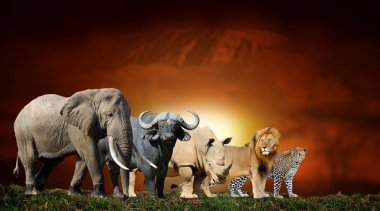 Büyük beş savana manzara arka plan ve Mount Kilimanjaro bir