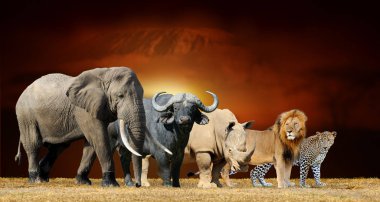 Büyük beş savana manzara arka plan ve Mount Kilimanjaro bir
