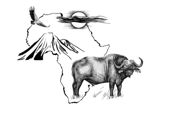 Buffalo sur fond de carte d'Afrique avec la montagne du Kilimandjaro, vult — Photo