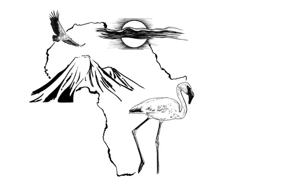 Фламинго на африканском фоне карта Килиманджаро, вул — стоковое фото