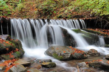 Sonbahar ormanında dağ şelalesi