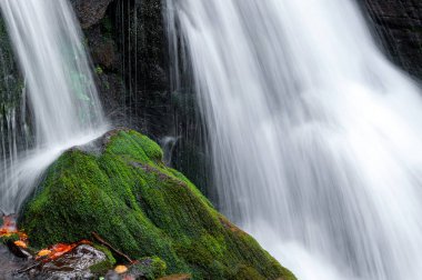 Sonbahar ormanında dağ şelalesi