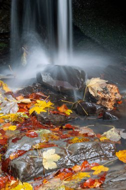 Sonbahar ormanında dağ şelalesi