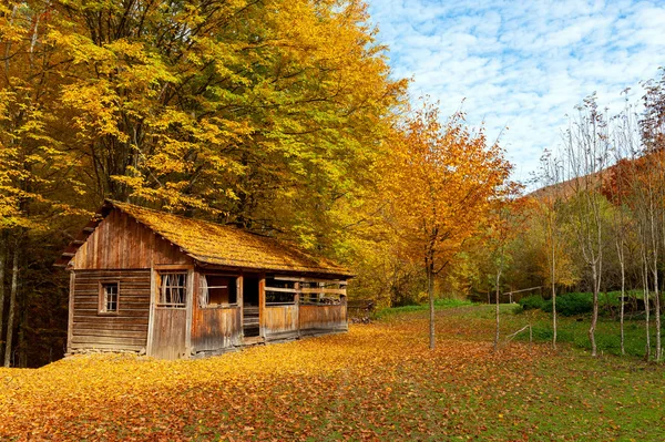中に美しい木製家秋山のピーク シーズン — ストック写真