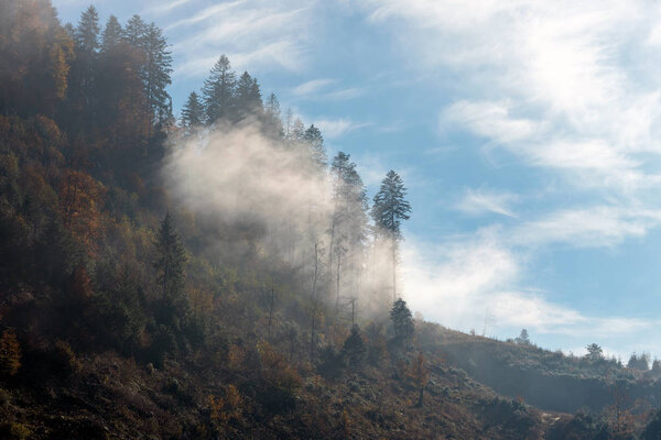 Rays of the sun breaking through the fog 