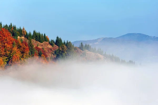 Forêt d'automne sur le versant montagneux avec brouillard — Photo