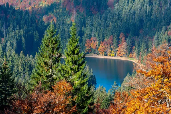 Jesień kolorowy liście nad jeziorem — Zdjęcie stockowe