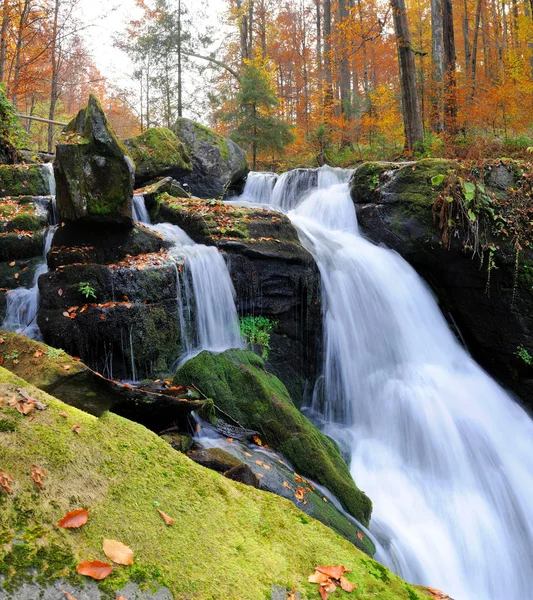 Mountain waterfall in autumn forest Royalty Free Stock Photos