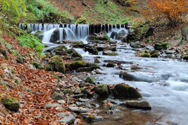 Sonbahar ormanında dağ şelalesi