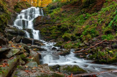 Sonbahar ormanında dağ şelalesi