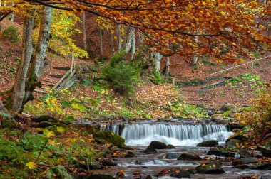 Sonbahar ormanında dağ şelalesi