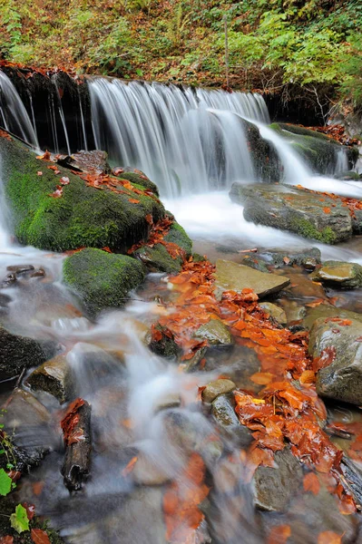 Горный водопад в осеннем лесу — стоковое фото