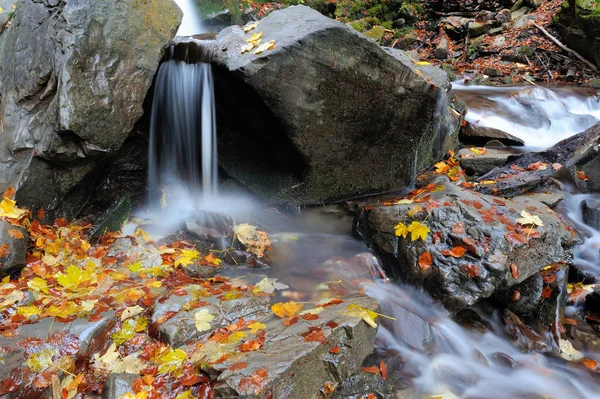 Sonbahar ormanında dağ şelalesi — Stok fotoğraf