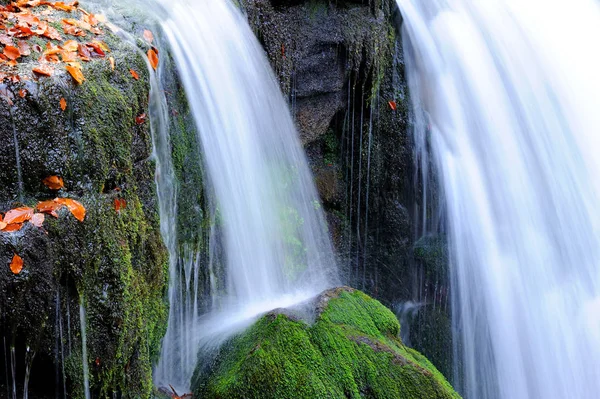 Sonbahar ormanında dağ şelalesi — Stok fotoğraf