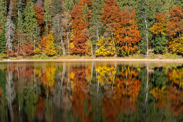Perfect autumn tree reflections in lake — Stock Photo, Image