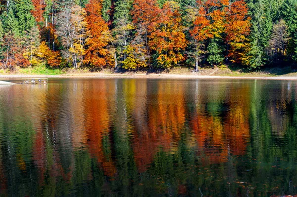 Perfekt höst träd reflektioner i sjön — Stockfoto