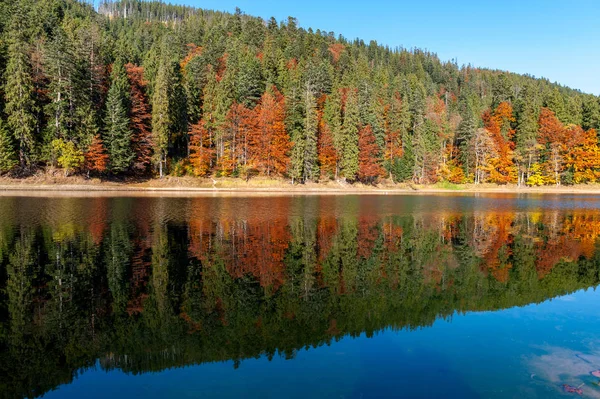 Perfect autumn tree reflections in lake — Stock Photo, Image