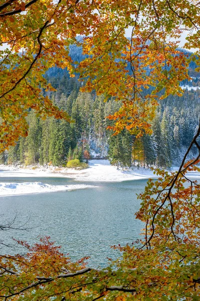 La première neige sur un lac dans une forêt de montagne — Photo