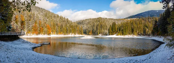 A primeira neve em um lago em uma floresta de montanha — Fotografia de Stock