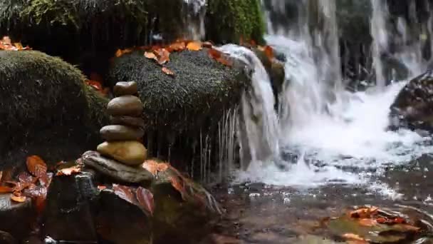 Primer plano de una cascada en un bosque otoñal — Vídeos de Stock