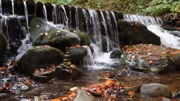 Närbild av ett vattenfall i en höstskog — Stockvideo