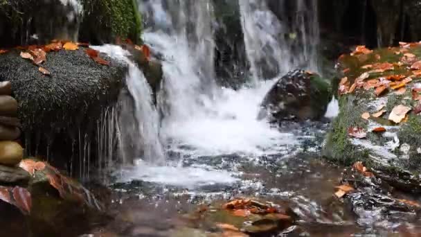 Närbild av ett vattenfall i en höstskog — Stockvideo