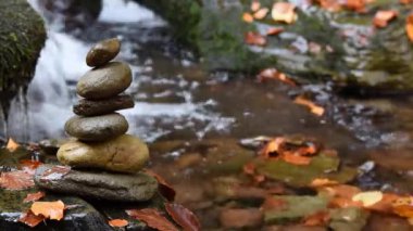 Bir sonbahar ormanındaki şelalenin yakınına.