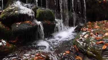 Bir sonbahar ormanındaki şelalenin yakınına.
