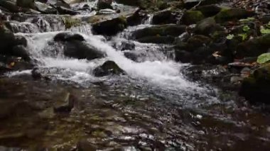 Bir sonbahar ormanındaki şelalenin yakınına.
