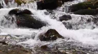 Bir sonbahar ormanındaki şelalenin yakınına.