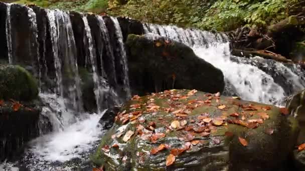 Nahaufnahme eines Wasserfalls im herbstlichen Wald — Stockvideo