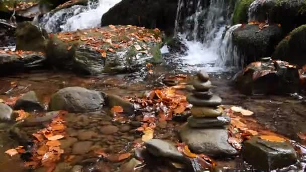 Gros plan d'une cascade dans une forêt d'automne — Video