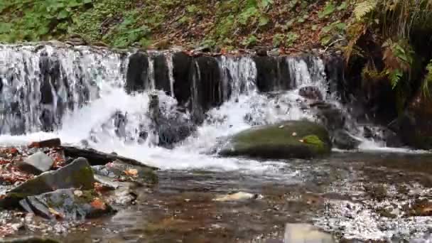 Primer plano de una cascada en un bosque otoñal — Vídeos de Stock
