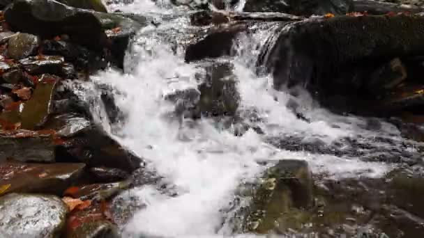 Nahaufnahme eines Wasserfalls im herbstlichen Wald — Stockvideo