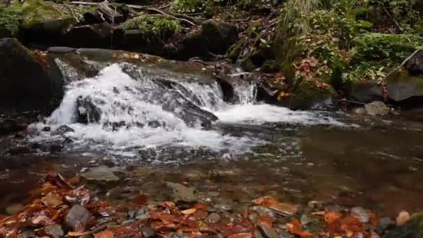 Крупним планом водоспад в осінньому лісі — стокове відео