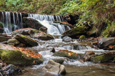 Sonbahar ormanında renkli görkemli şelale 