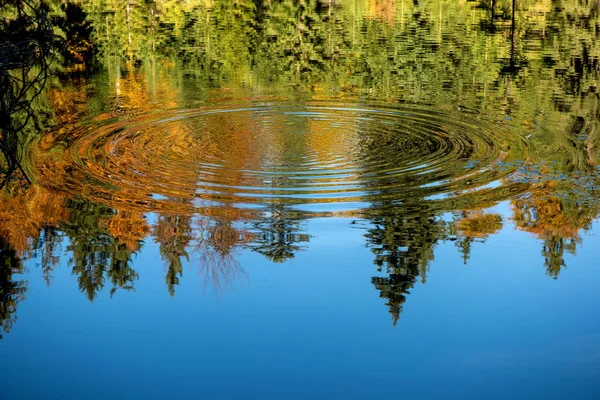 Riflessione della foresta autunnale nello specchio del lago — Foto Stock