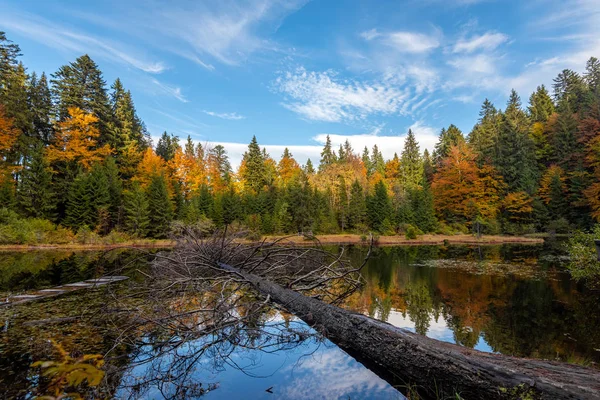 Floresta lago no outono folhagem colorida — Fotografia de Stock