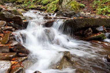 Sonbahar ormanında renkli görkemli şelale 
