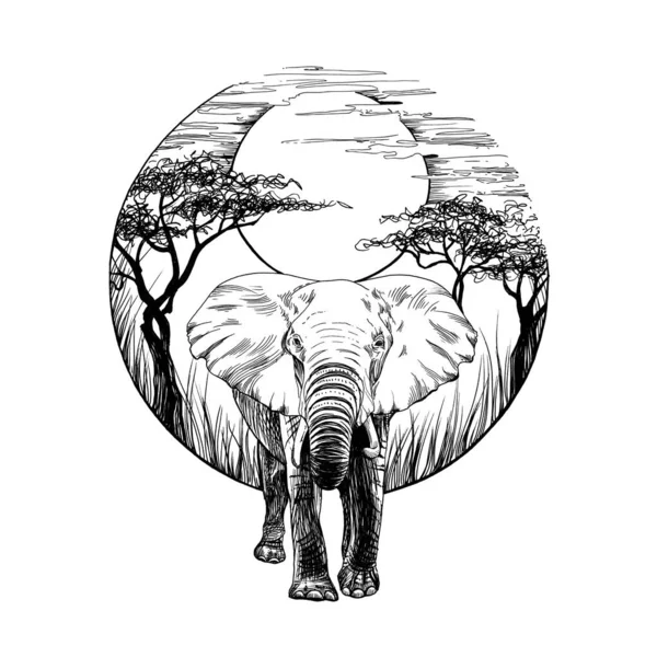 Elefante Desenhado Mão Desenho Gráfico Ilustração Monocromática Sobre Fundo Branco — Fotografia de Stock