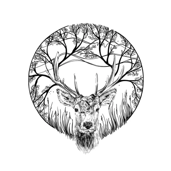 Ritratto Cervo Disegnato Mano Schizzo Grafico Monocromatico Sfondo Bianco Originali — Foto Stock