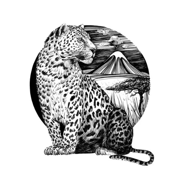 Leopardo Dibujado Mano Dibujo Gráfico Ilustración Monocromática Sobre Fondo Blanco — Foto de Stock