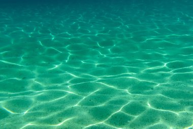 Yaz mevsimi, deniz altı okyanus suları altında arka plan tasarımı için yüzeyden gelen güneş ışığıyla birlikte.