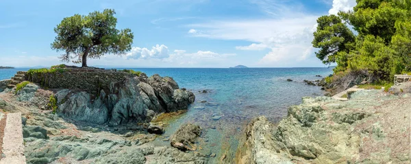 Olivo Solitario Roca Fondo Del Mar — Foto de Stock