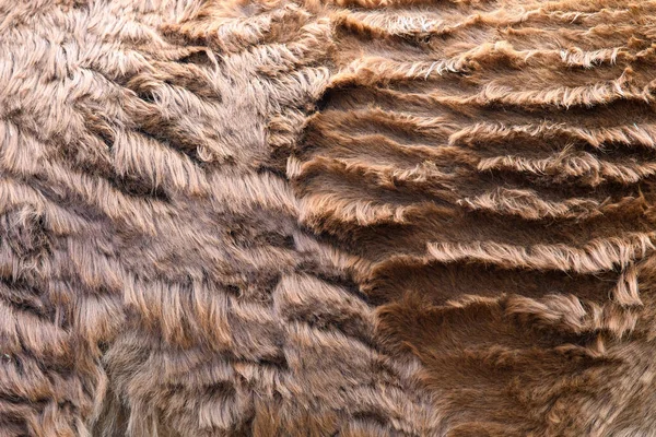 Zbliż Prawdziwą Konsystencję Skóry Lamy Zwierząt Futro Tło Tekstury Obraz — Zdjęcie stockowe