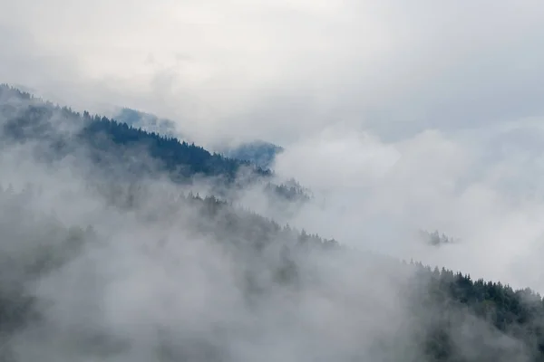 Величественный Вид Красивые Туманы Облачные Горы Туманном Ландшафте Летнее Время — стоковое фото